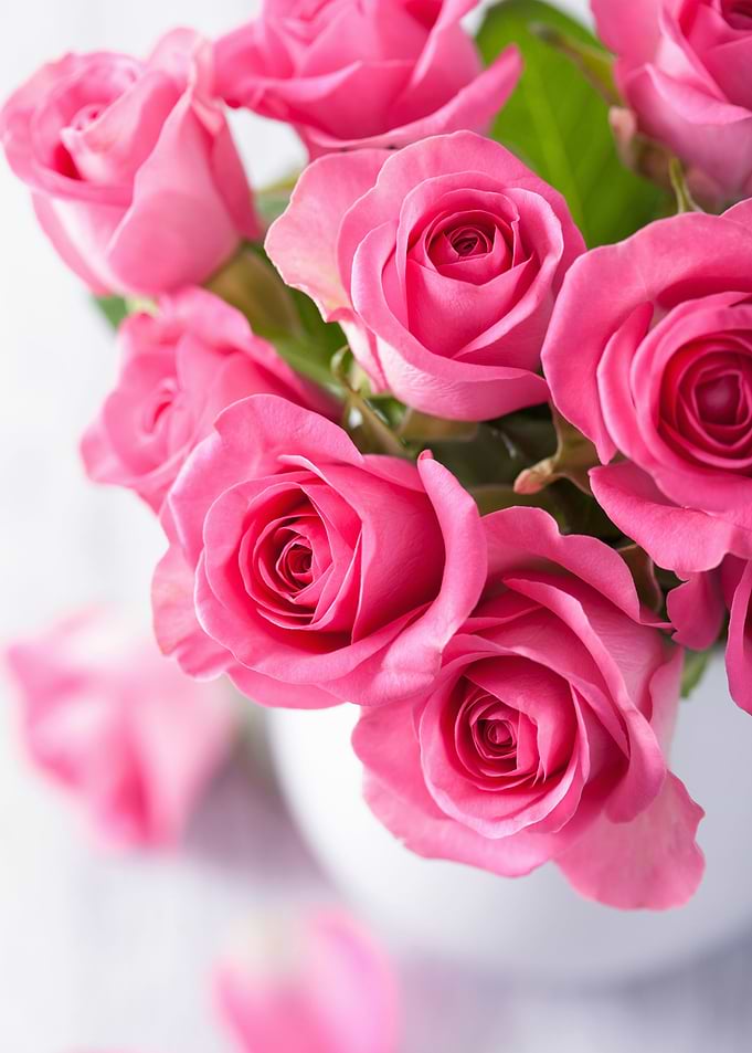 Flower in Frame 10