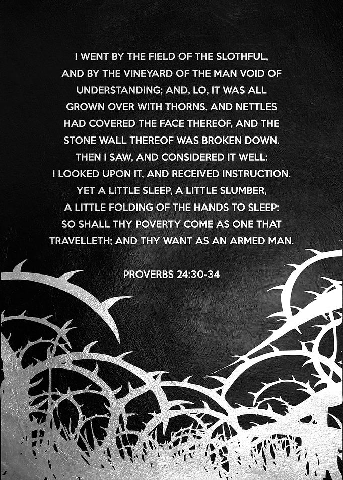 Proverbs 24 30 34