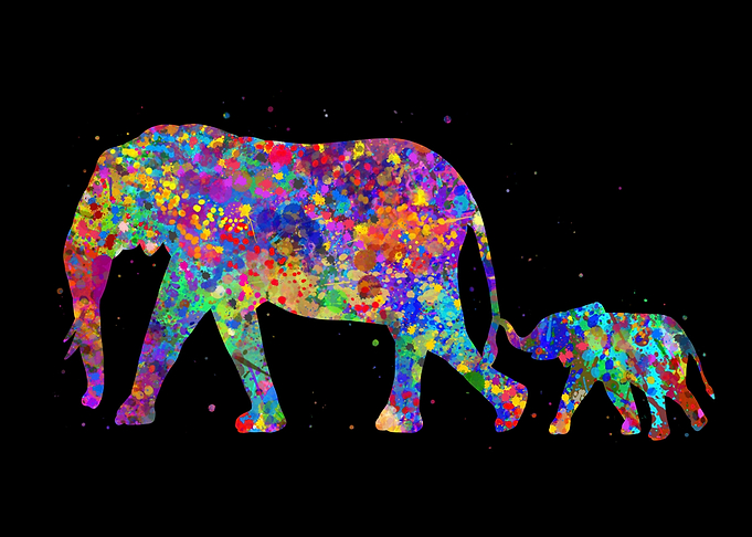 Elephant with baby