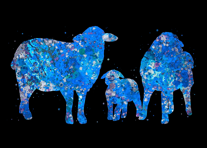 Sheep family blue art