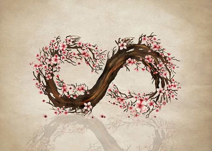 Sakura Tree Infinity