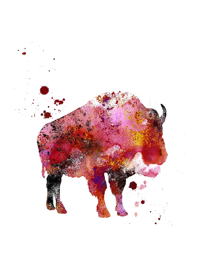 Buffalo