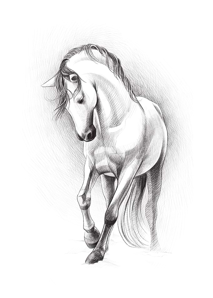 White horse