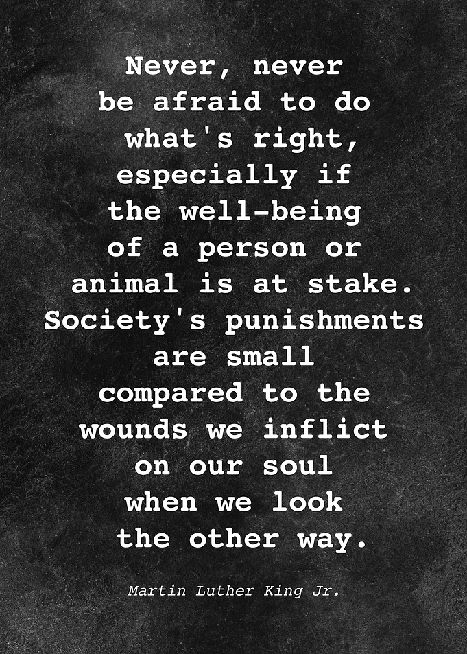 Martin L King J Quote D014