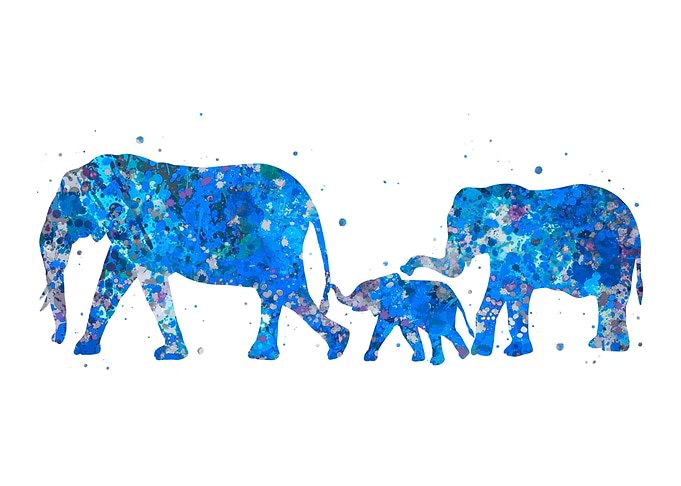 Elephant and family