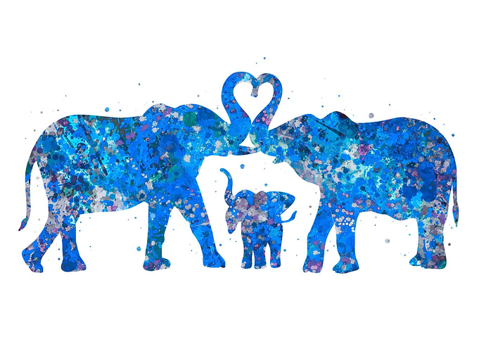 Elephant family baby