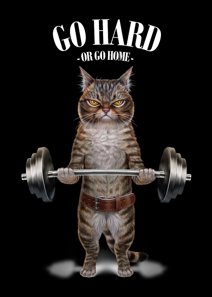 Tabby Cat Weightlifting