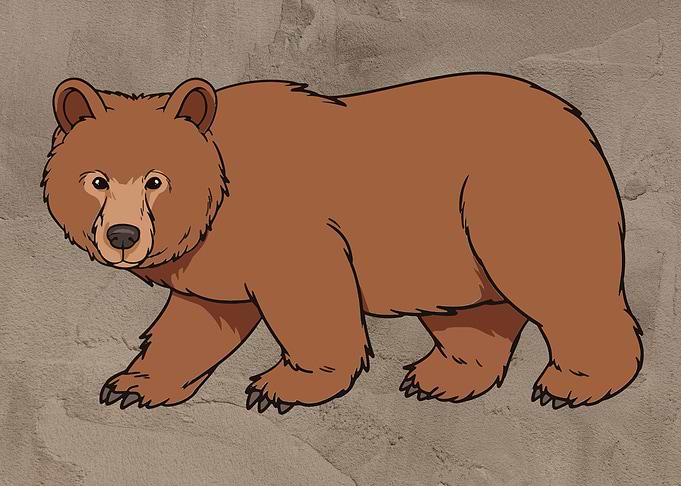Big brown bear