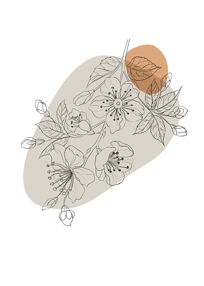 Abstract Flower Sakura