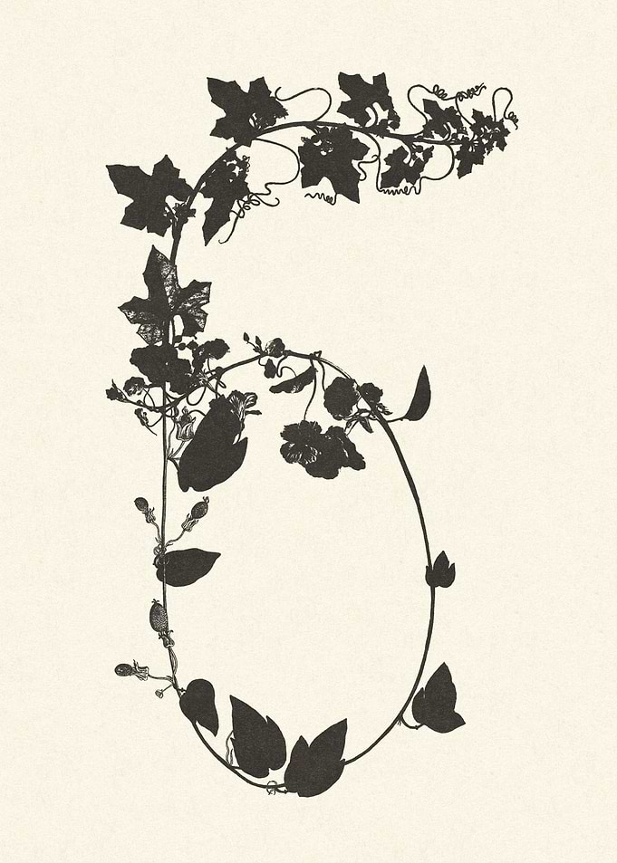 Number 6