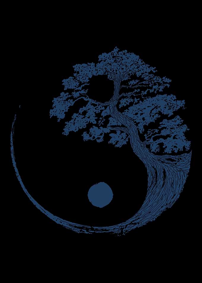 Yin Yang Bonsai Japanese