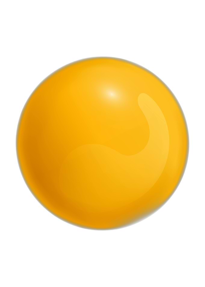 Fried Egg