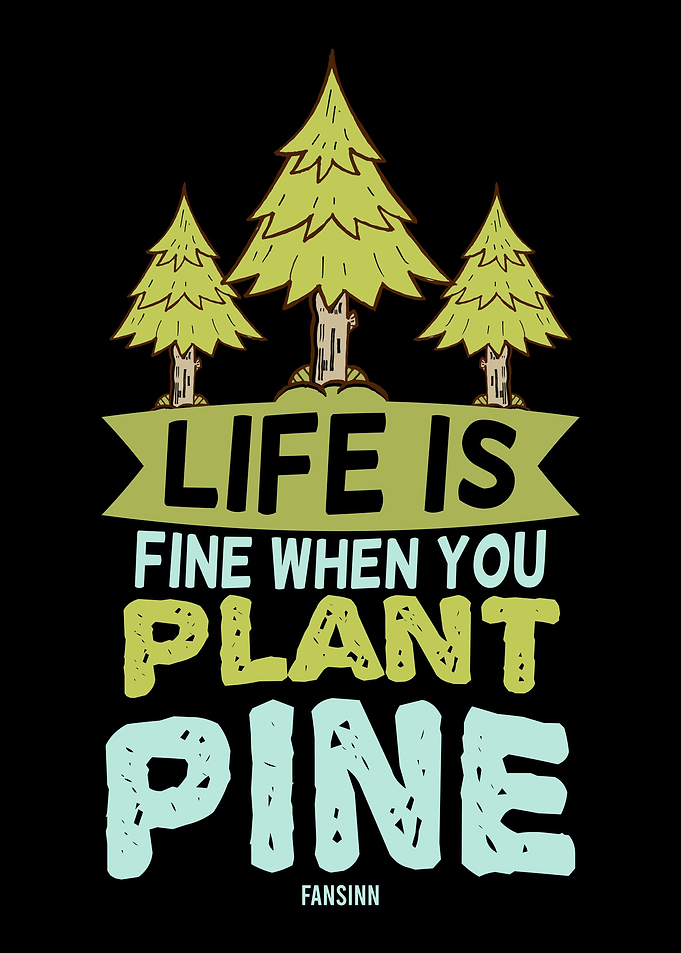 Conifer fir spruce forest