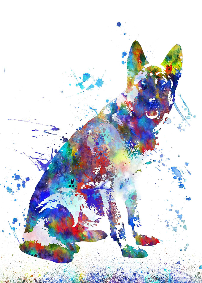 German Shepherd