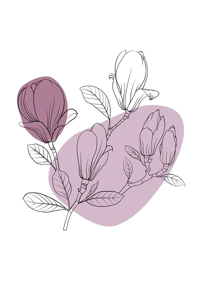 Abstract Flower Magnolia
