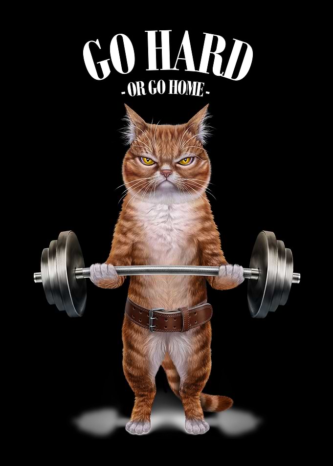 Orange Cat Weightlifting