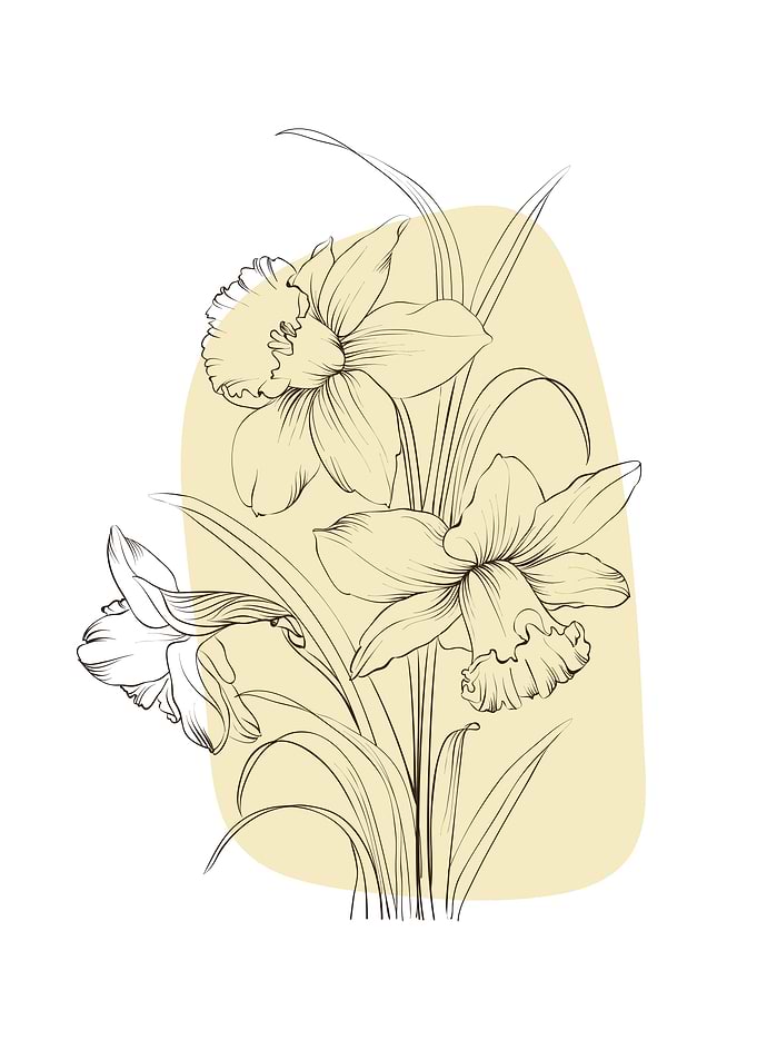 Abstract Flower Narcissus