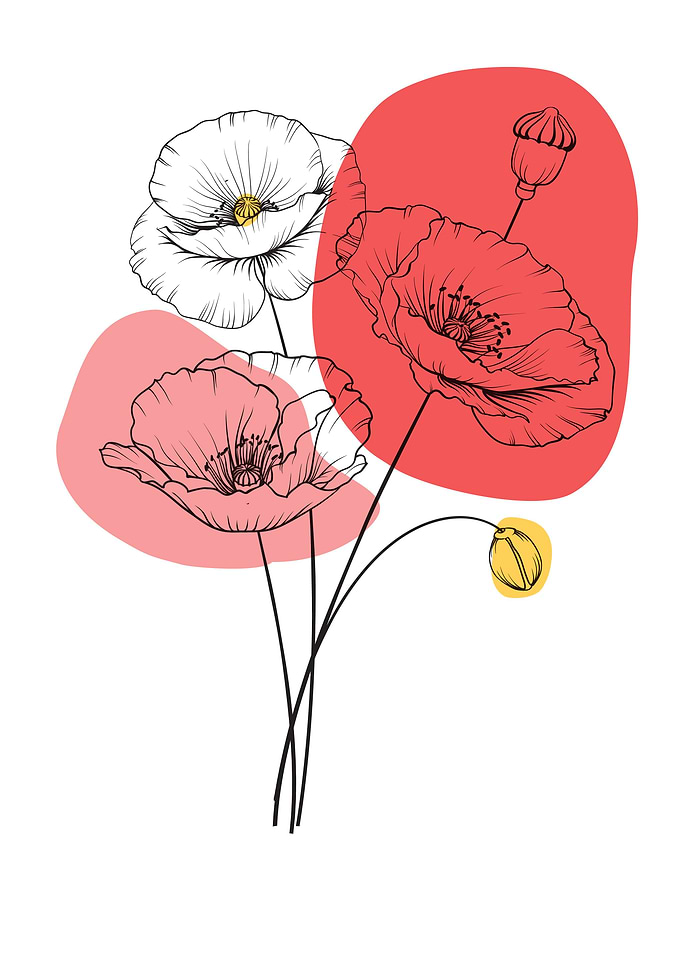 Abstract Flower Poppy
