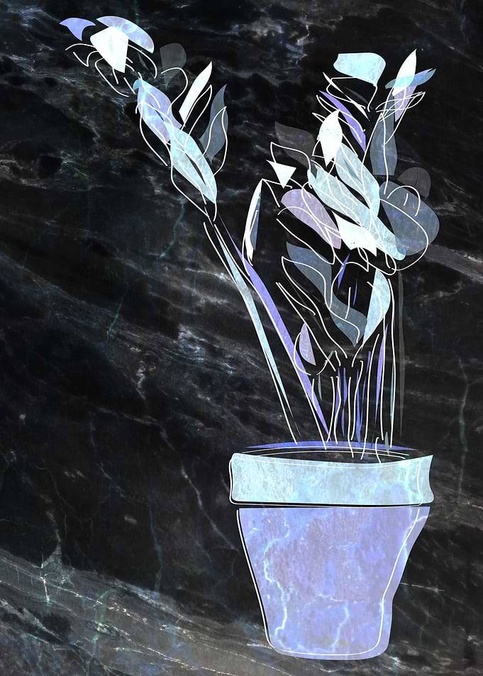 Pot Plant 2