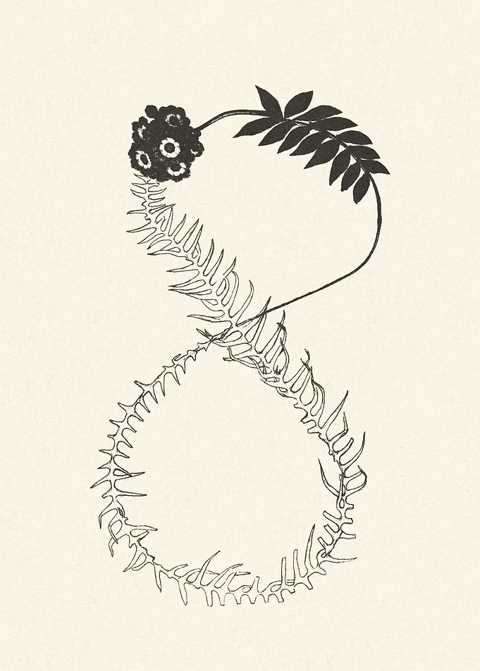 Number 8