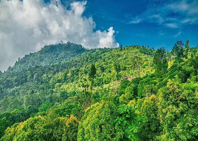 blue mountain green cloud