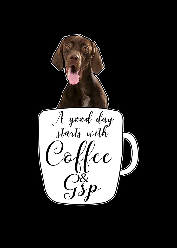 Funny German Shorthair