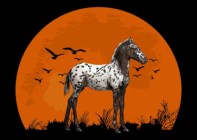 Appaloosa Retro Appaloosa