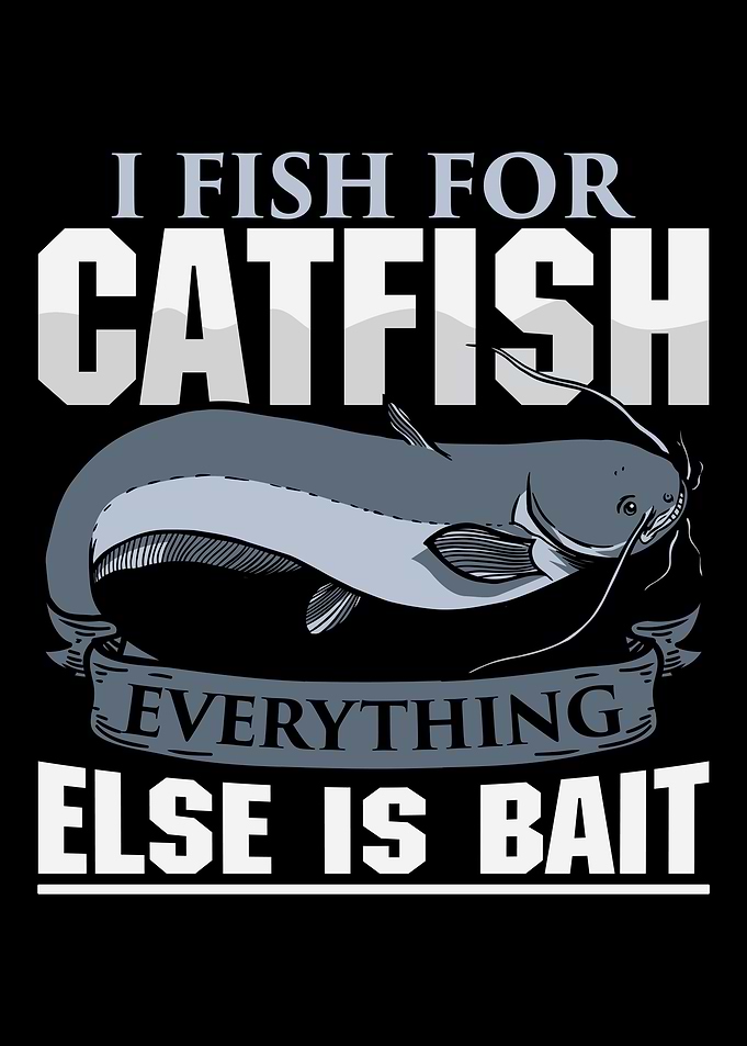 Catfish Angler Fishing