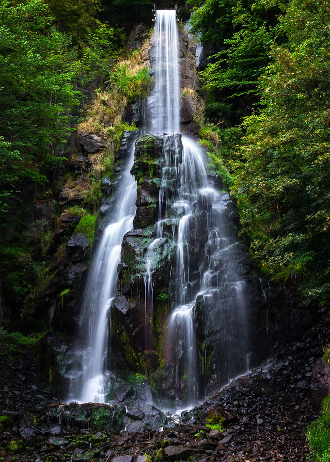 Nature Landscape 5