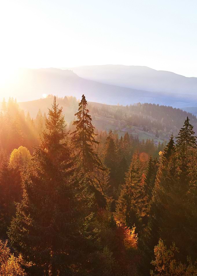 Nature Landscape 9