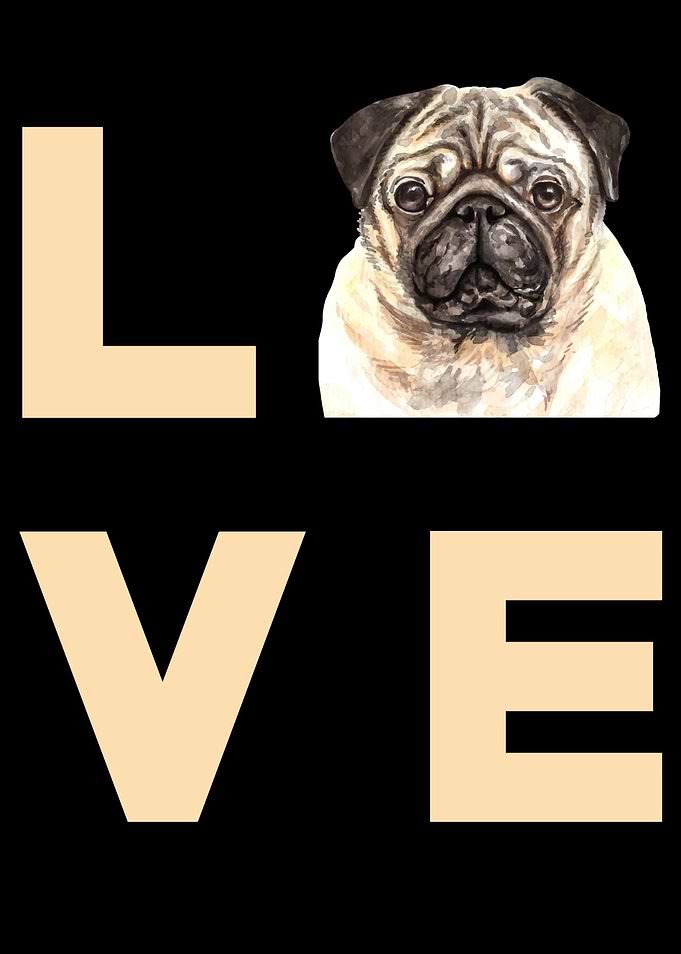 Mops Love