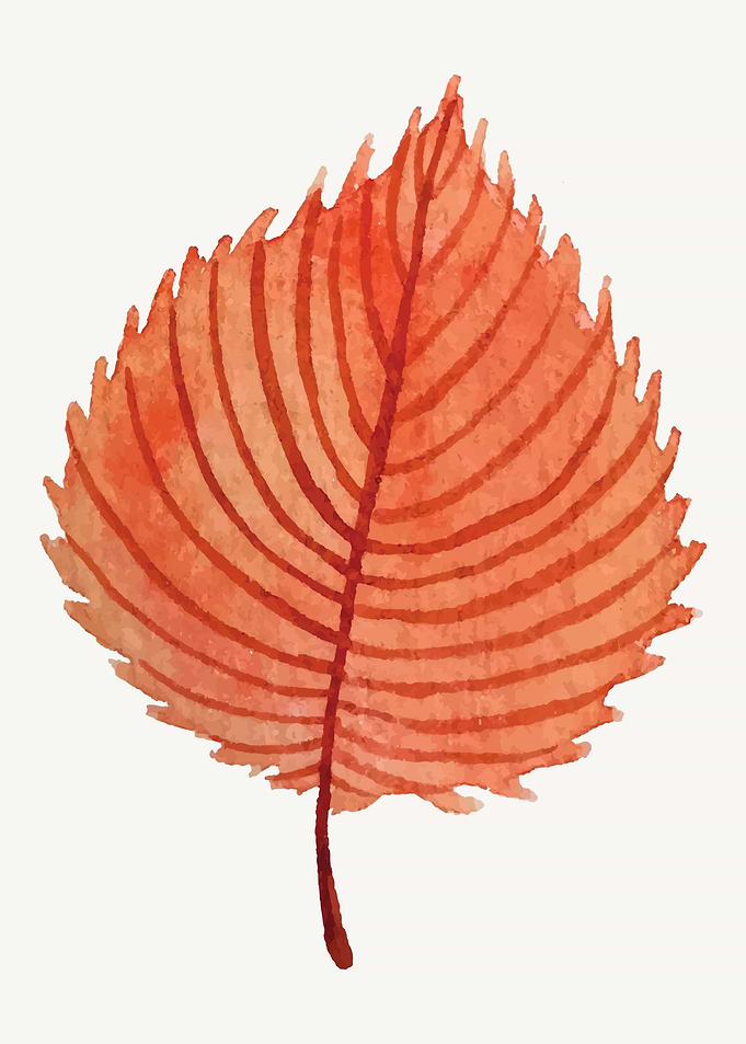 Botanical Garden Poster 9