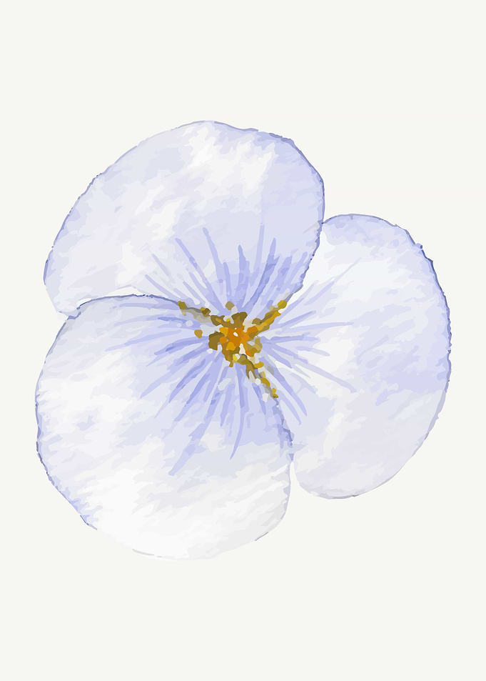 Botanical Garden Poster 4