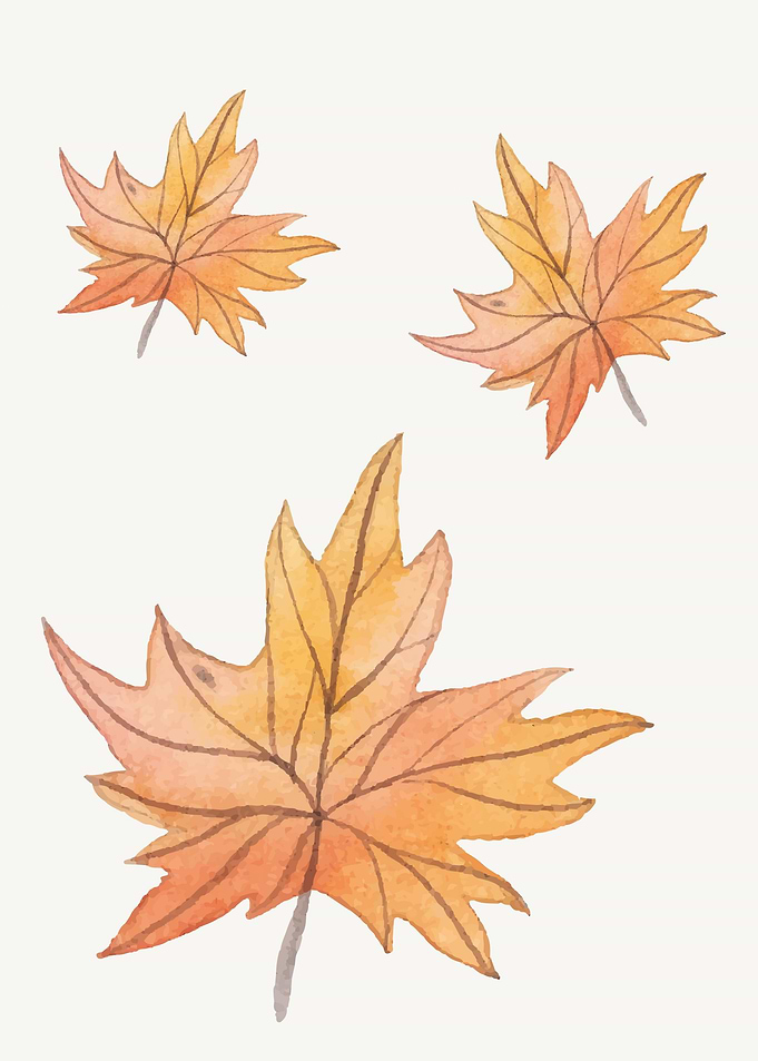 Botanical Garden Poster 10