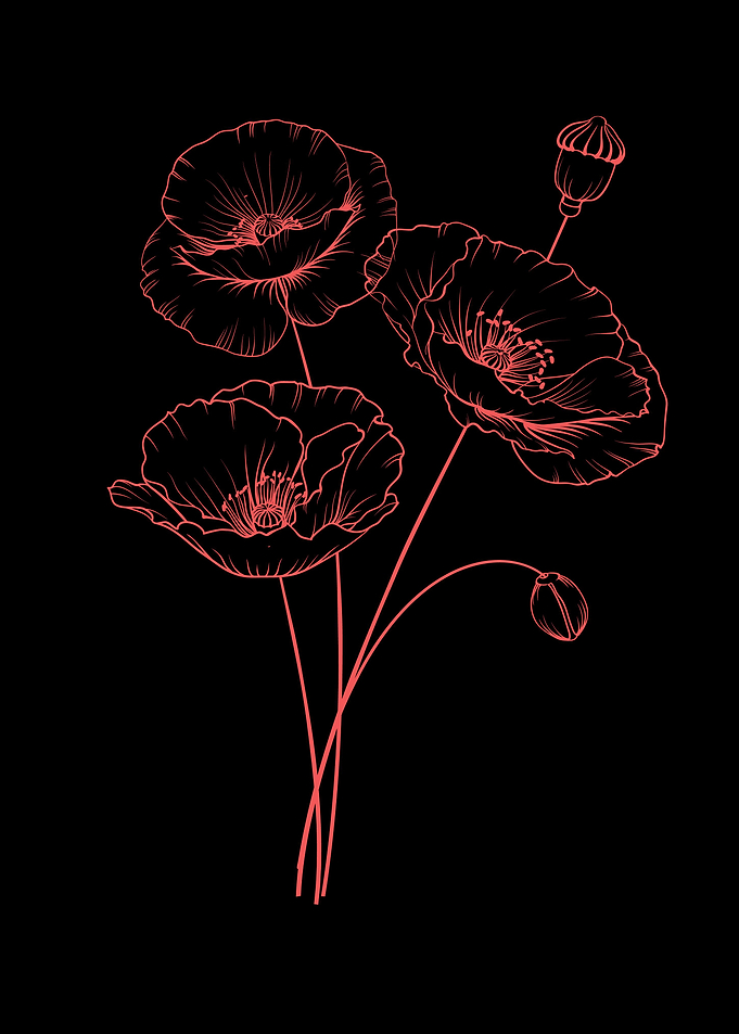 Poppy Flower