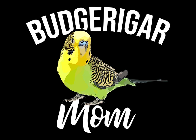 Budgerigar Mom Budgerigar