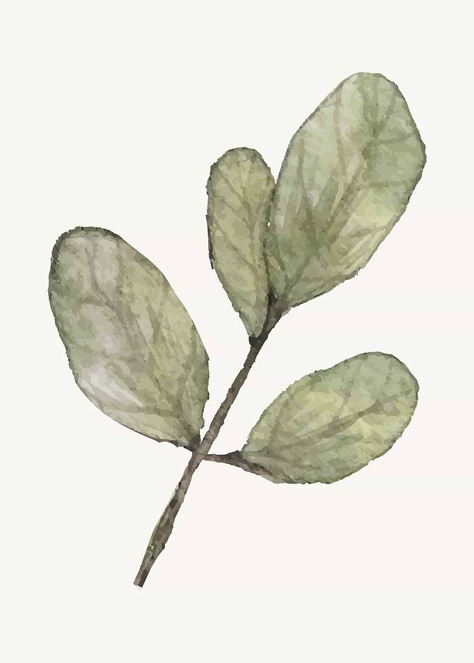 Botanical Garden Poster 5