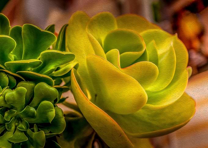 Green variety