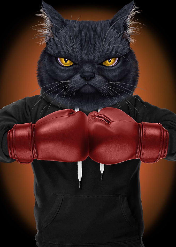 Boxer Black Cat