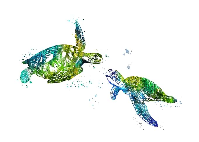 Sea turtle