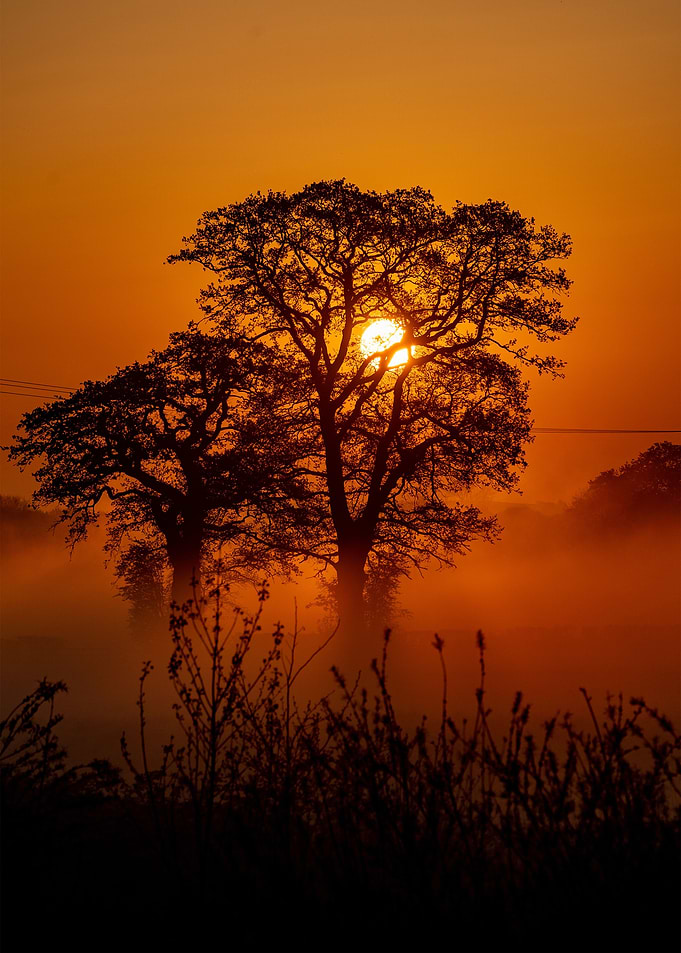 Nature Landscape 8