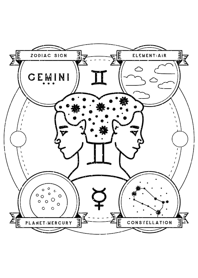 A Zodiac Sign Test Gemini