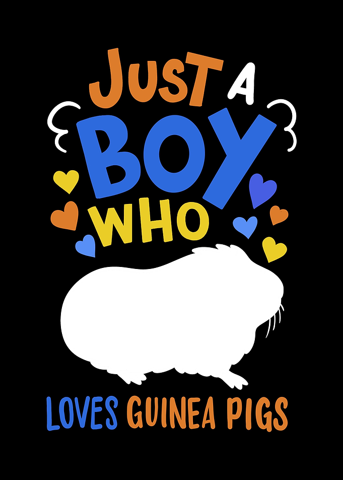 Guinea Pig Rodent