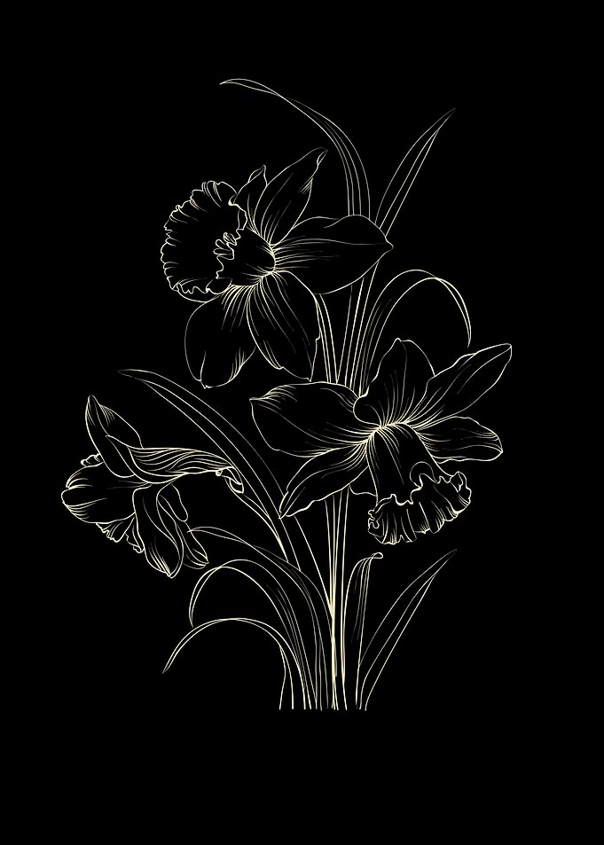 Narcissus Flower