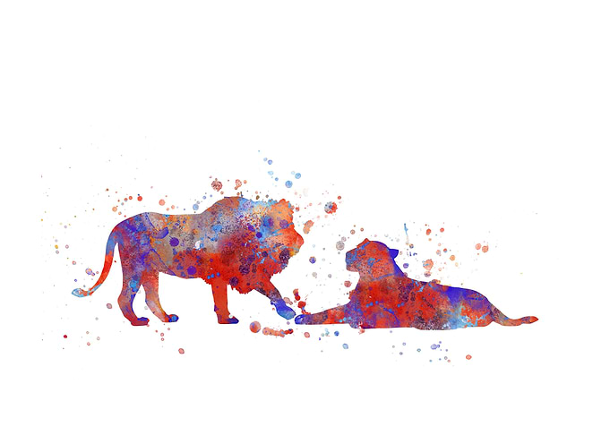 Lions in love