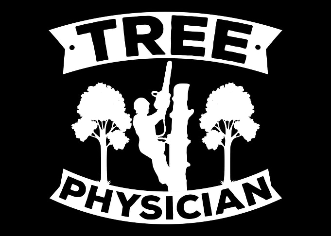 Arborist Tree Surgeon