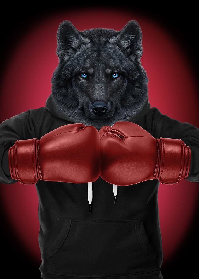 Boxer Black Wolf