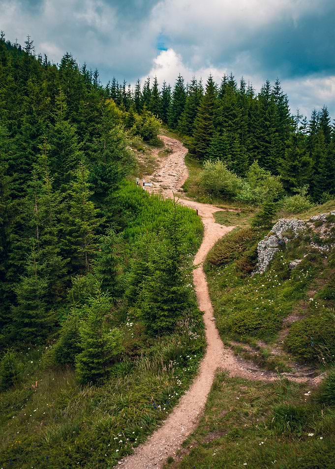 Nature Landscape 20