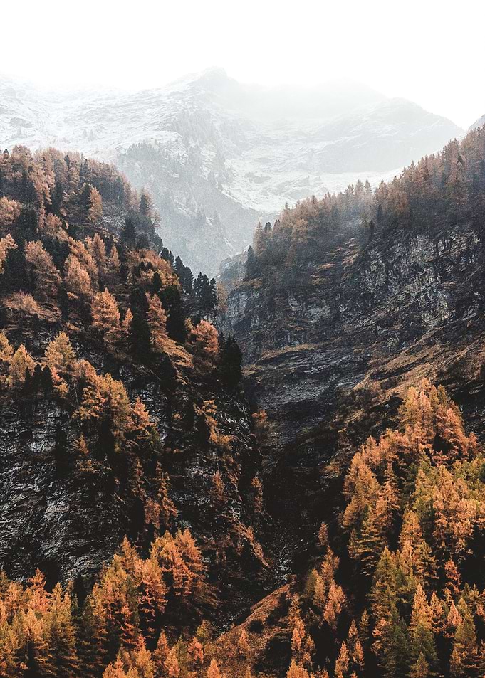 Highlands