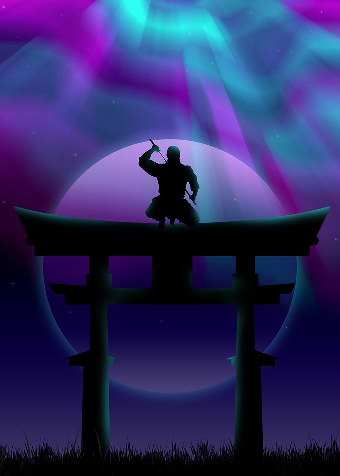 ninja torii gate